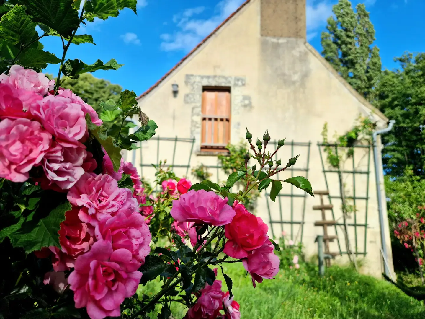 Façade et rosiers de La Maison des Artistes